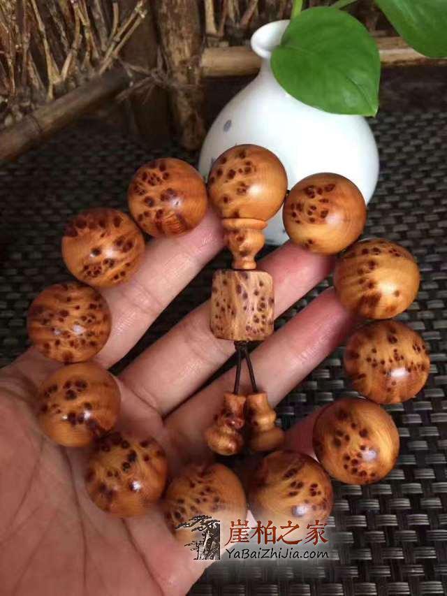 低调的素串与瑰丽的瘤花珠串,你更喜欢哪个呢?-4