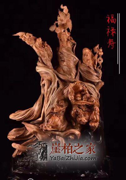 价格“太黑”?揭秘天价崖柏背后的秘密-3