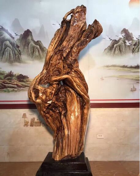 一株崖柏的独白,生命是如此的寂寞!-1