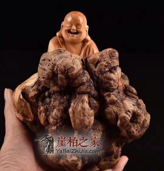 一株崖柏的独白,生命是如此的寂寞!-2