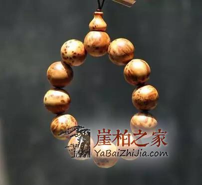 崖柏乃国之瑰宝,崖柏手串如何保养?-1