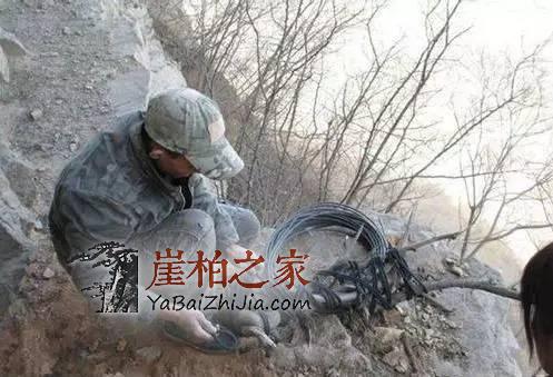 悬崖峭壁上最美的采摘人,脚下就是万丈深渊!-1