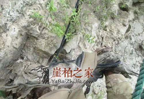 悬崖峭壁上最美的采摘人,脚下就是万丈深渊!-3