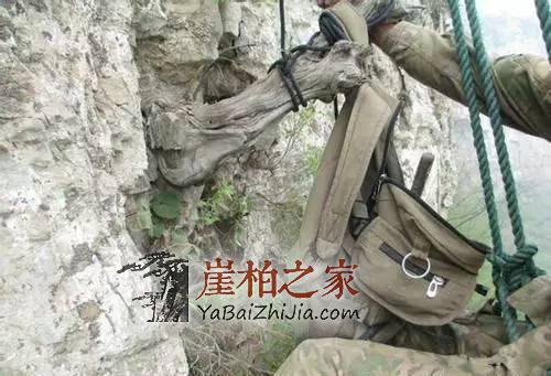 悬崖峭壁上最美的采摘人,脚下就是万丈深渊!-4