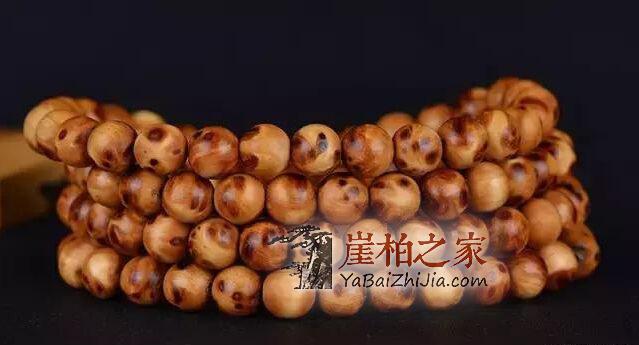 你玩的“崖柏”是真的吗?其实真相是……-7