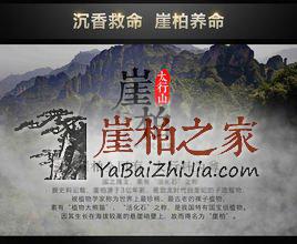 你玩的“崖柏”是真的吗?其实真相是……-2