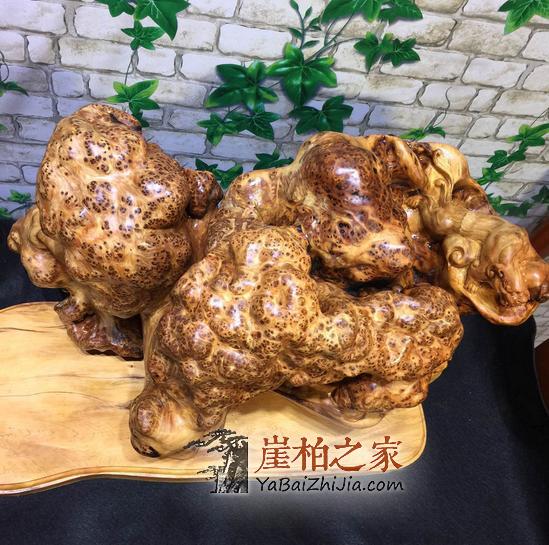 崖柏瘤疤切勿随便买,因为假的太多!-1