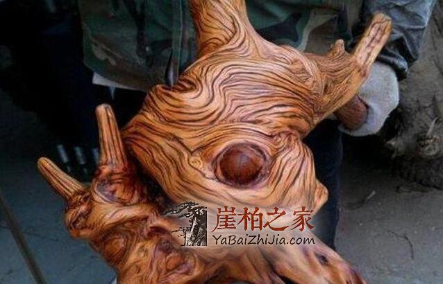 何谓崖柏的菩萨云纹?-2