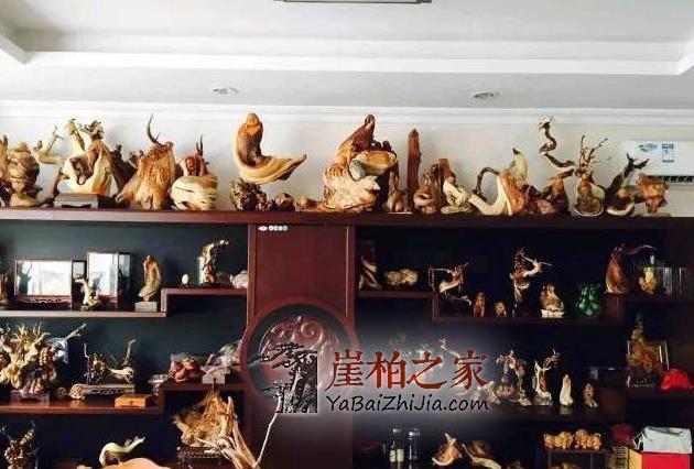 崖柏的市场发展前景到底如何?-2