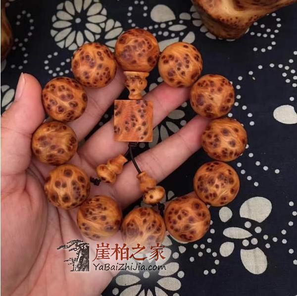 崖柏全国有,如何分辨各地崖柏是重点!