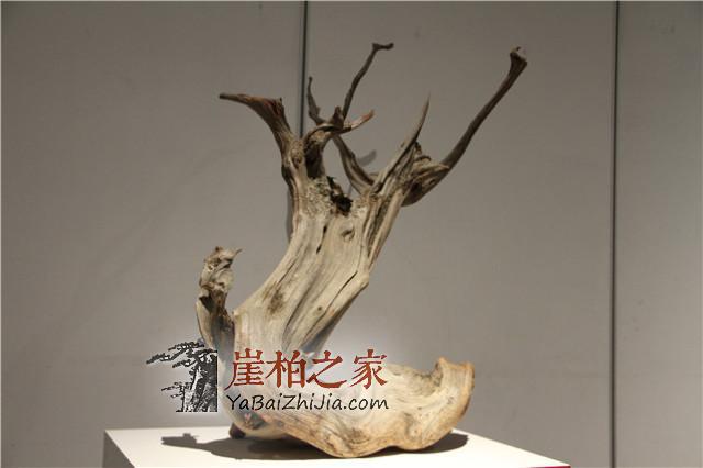 购买崖柏文玩前必读知识,涨知识咯-1