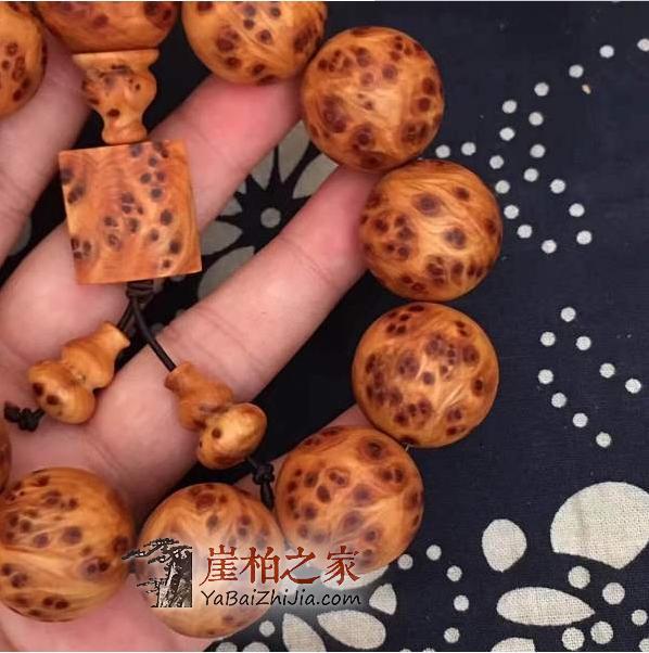 大家知道崖柏全国有,怎么分辨各个地区的崖柏呢?-1
