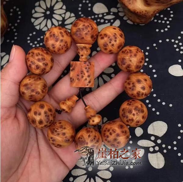 大家知道崖柏全国有,怎么分辨各个地区的崖柏呢?-2
