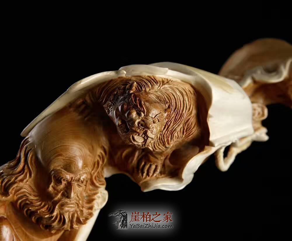 名师精品，太行崖柏《达摩戏狮》 鉴赏-4