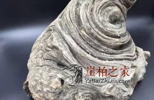 崖柏界的几种冒牌货,你都知道吗?-2