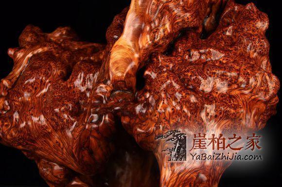 什么元素让崖柏瘤疤具有如此魅力,竟能迷倒众人?-1