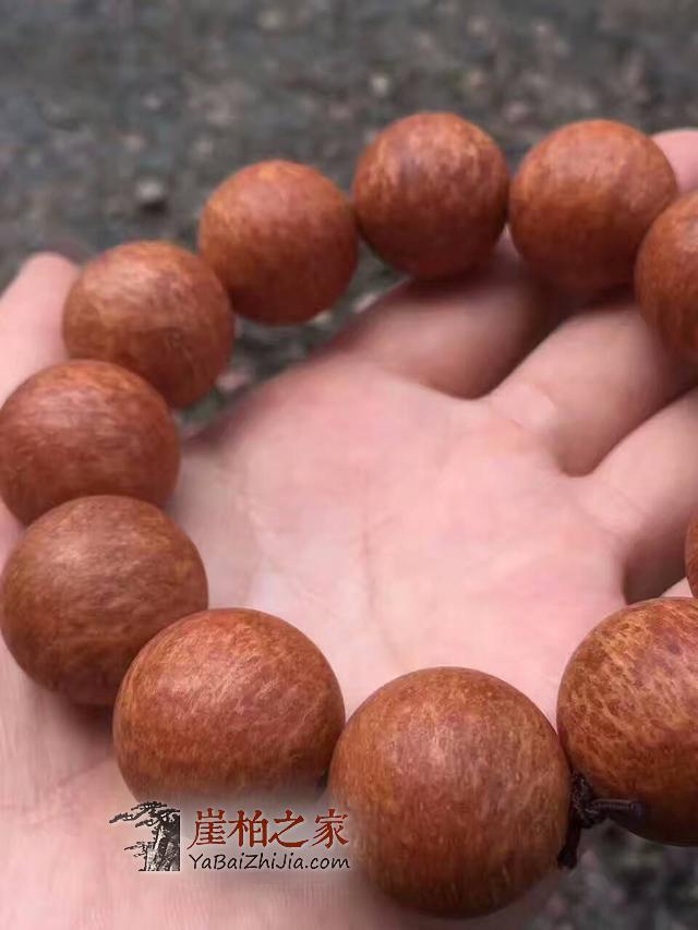挑选崖柏珠子参考这几点就够了!尤其是最后一点-2