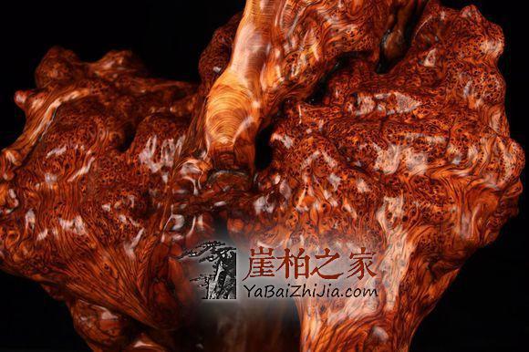 为何崖柏瘤疤魅力如此之大,风靡万千?-1