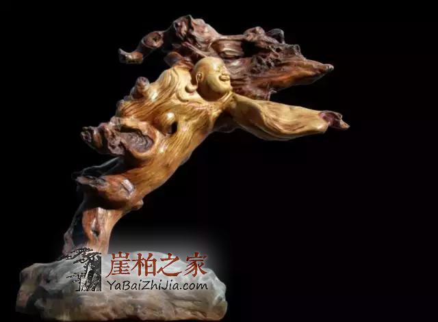想要伺候好婀娜多姿的崖柏,可不是一件容易的事!-1