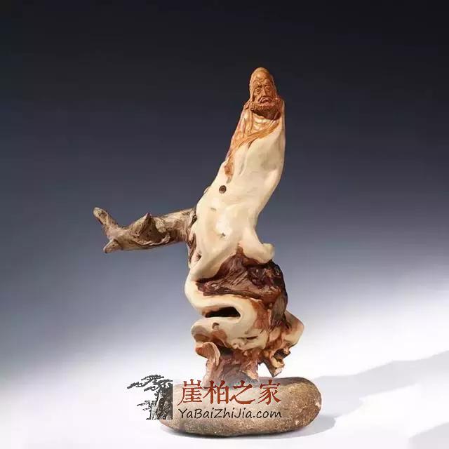 想要伺候好婀娜多姿的崖柏,可不是一件容易的事!-2