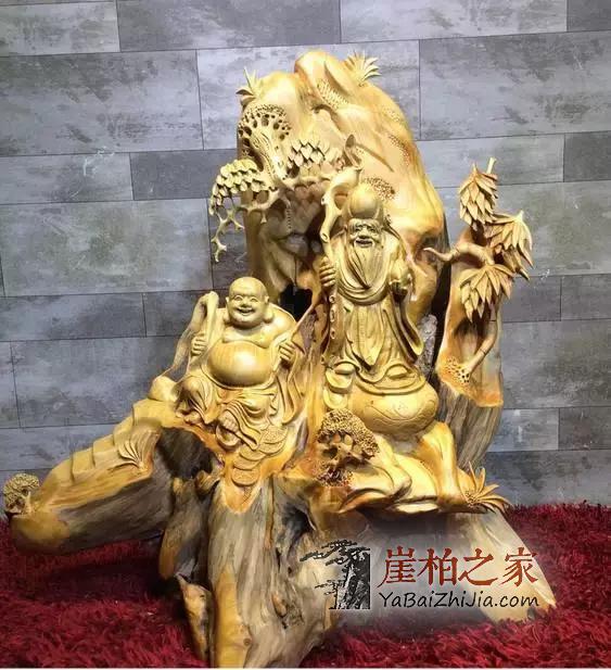 想要伺候好婀娜多姿的崖柏,可不是一件容易的事!-4