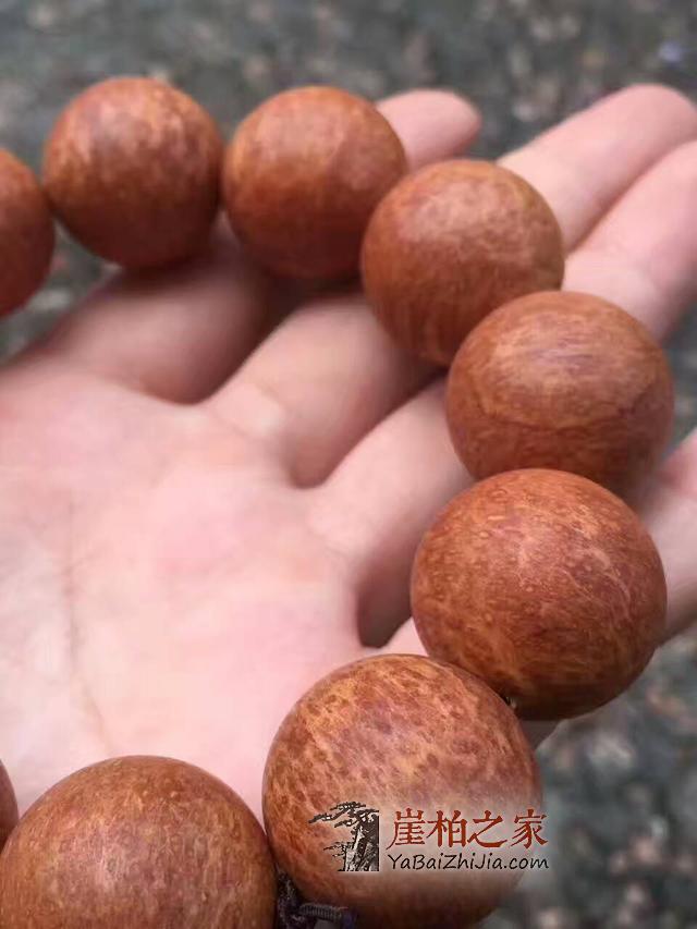 崖柏最有前途的玩法,非这几种莫属,你玩对了吗?-1