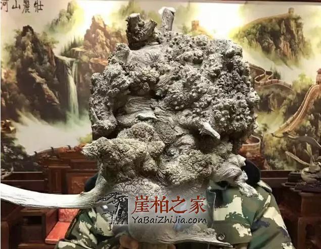 何谓崖柏陈化瘤,看这里你就明白了-1