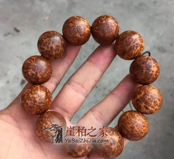 何谓崖柏陈化瘤,看这里你就明白了-4