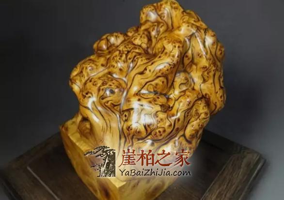 何谓崖柏陈化瘤,看这里你就明白了-5