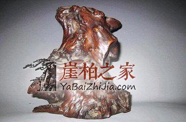 土柏,坡柏,崖柏,傻傻分不清楚-2