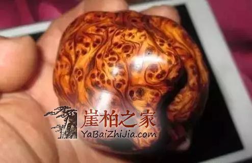 崖柏的瘤疤你买对了吗,千万不要买到生料瘤!-1