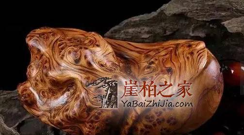 崖柏的瘤疤你买对了吗,千万不要买到生料瘤!-3