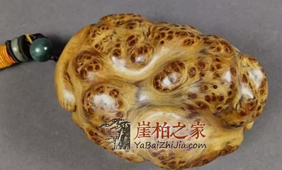 崖柏的瘤疤你买对了吗,千万不要买到生料瘤!-9