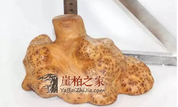 崖柏的瘤疤你买对了吗,千万不要买到生料瘤!-10