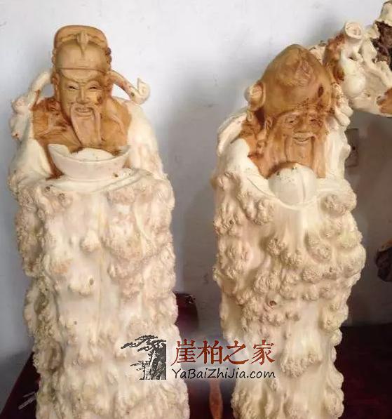 崖柏的瘤疤你买对了吗,千万不要买到生料瘤!-11