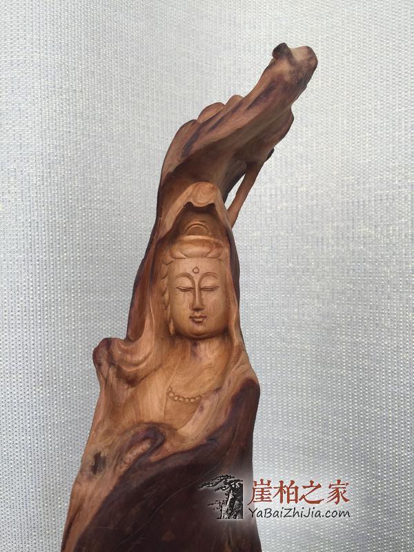 崖柏到底有多珍贵?-1