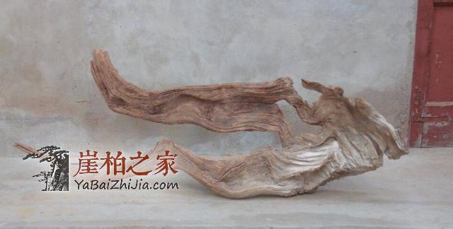 简单三点带你走出购买崖柏的误区-2