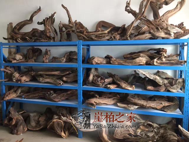 土豪玩家收藏的崖柏料堆满整个仓库,各个极品让人羡慕的不得了-1