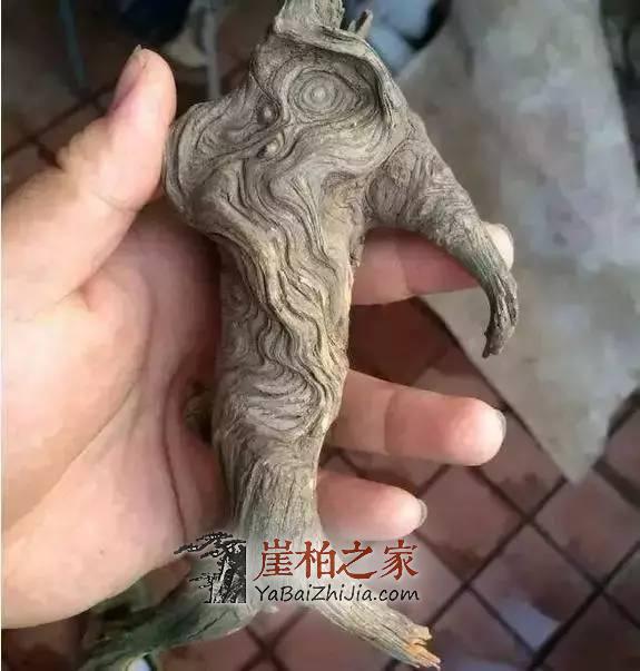 从朋友家随手捡了块崖柏小料,磨出个鸟头真给力!-2