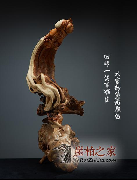 崖柏屋中藏,如伴佳人旁!-3