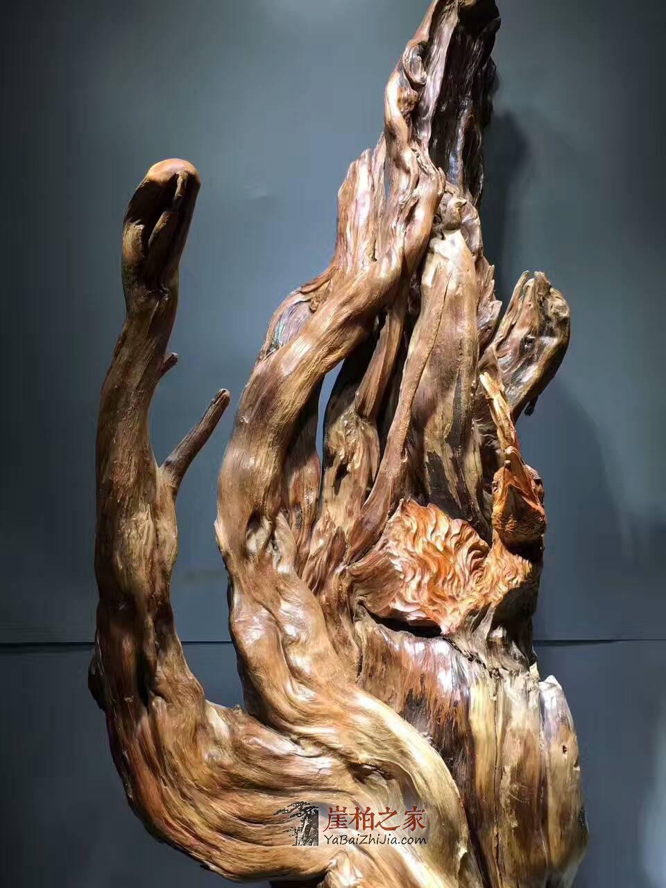 绝世孤品《富贵孔雀》正宗陈化南瓜料天然抱石-8