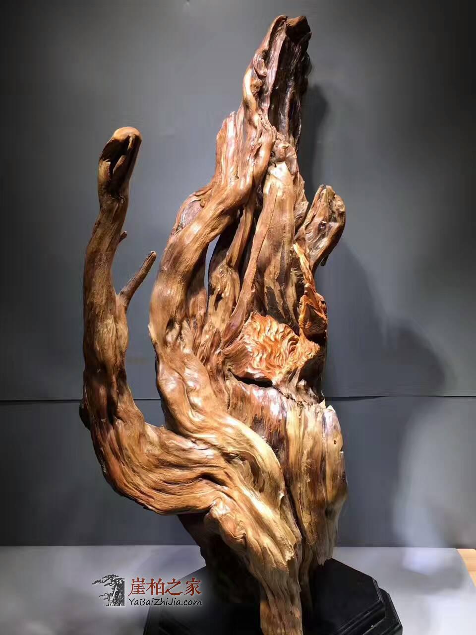 绝世孤品《富贵孔雀》正宗陈化南瓜料天然抱石-7