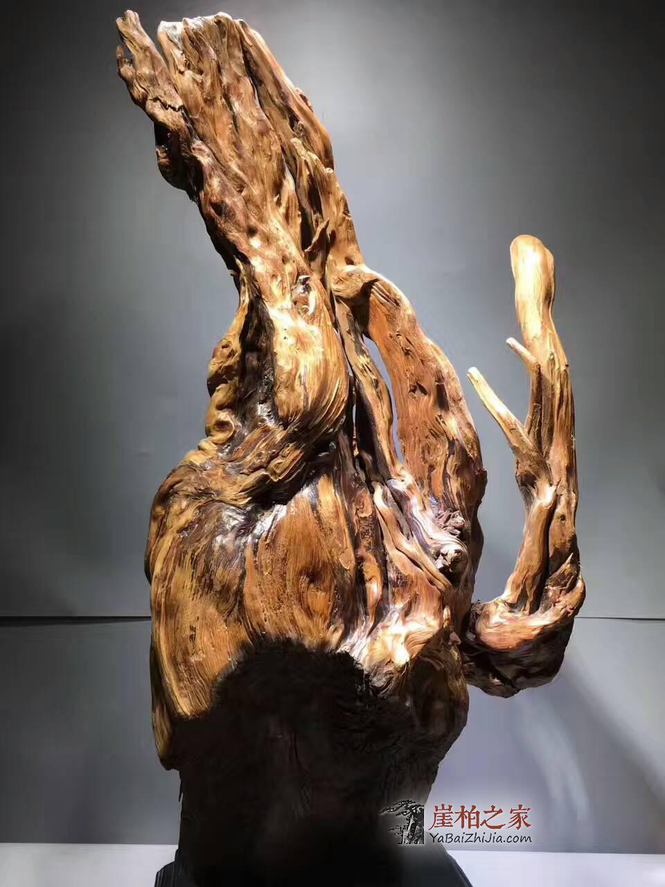 绝世孤品《富贵孔雀》正宗陈化南瓜料天然抱石-9