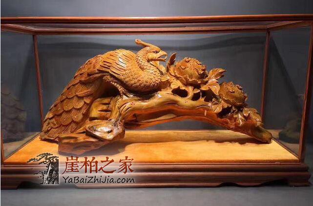 你真的了解这些崖柏的专业“术语”吗?-1
