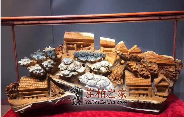 你真的了解这些崖柏的专业“术语”吗?-3