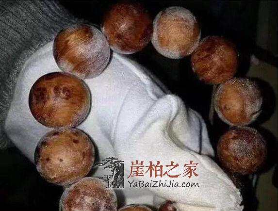 何谓崖柏的长“毛”或生“霜”现象?-2