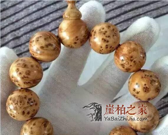 何谓崖柏的长“毛”或生“霜”现象?-4