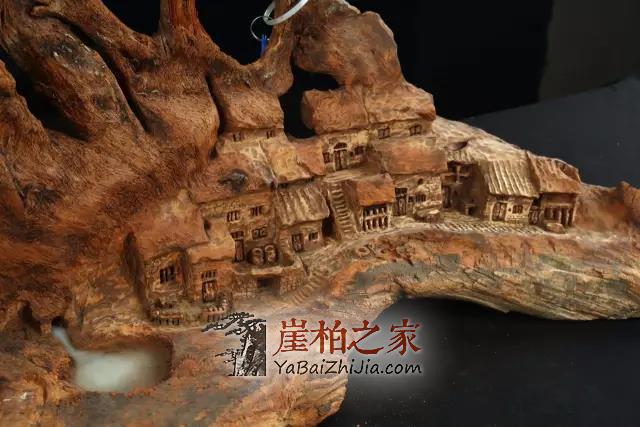 人生当如何?如崖柏冲破岩障,亦如檐下三尺麻雀喳喳?-1