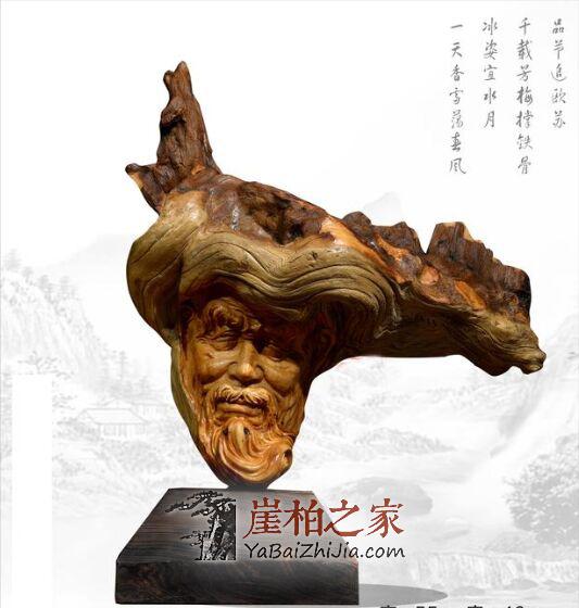 人生当如何?如崖柏冲破岩障,亦如檐下三尺麻雀喳喳?-4