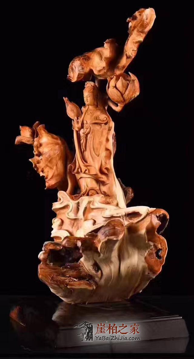 在投资崖柏前,你必须要做好那些准备工作呢?-1